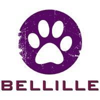 Des Bulls Bellille